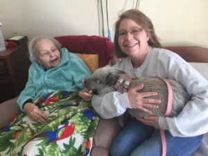 Therapy Pig Excellence