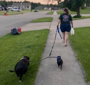 Marathon Pigs