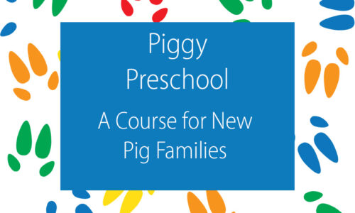 New Pig Owner’s Course