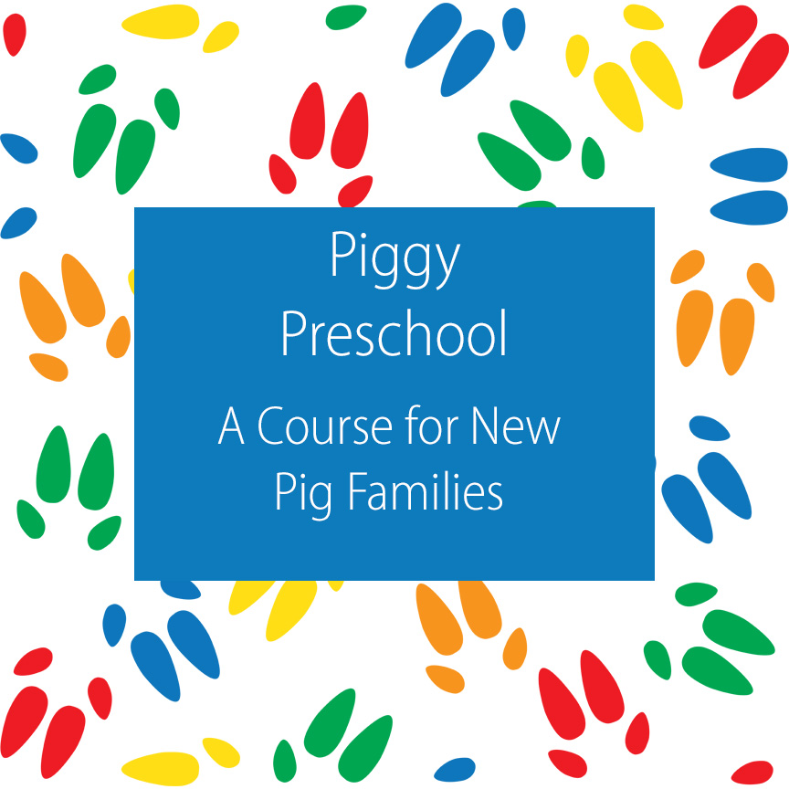 Piggy Preschool