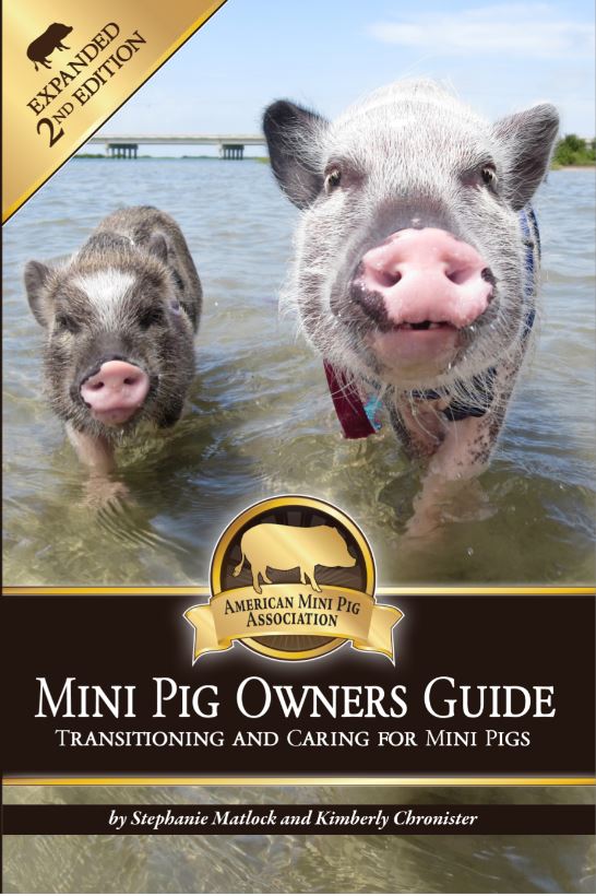 Mini Pig Owners Guide expanded edition