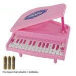 mini pig piano
