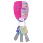 mini pig trick keys or remote