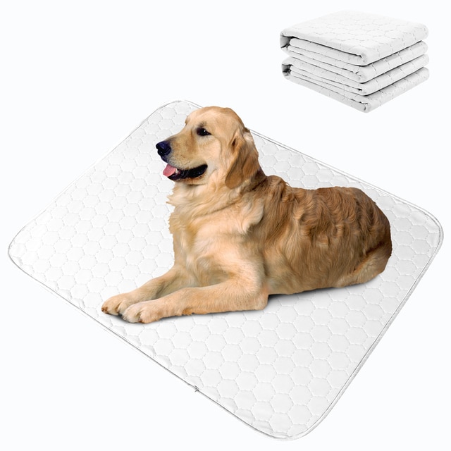 https://minipigtraining.com/wp-content/uploads/2023/02/Dog-Pet-Diaper-Mat-Blanket-Urine-Absorbent-Training-Pad-Diaper-Mat-Waterproof-Washable-Reusable-Training-Pad.jpg_640x640.jpg