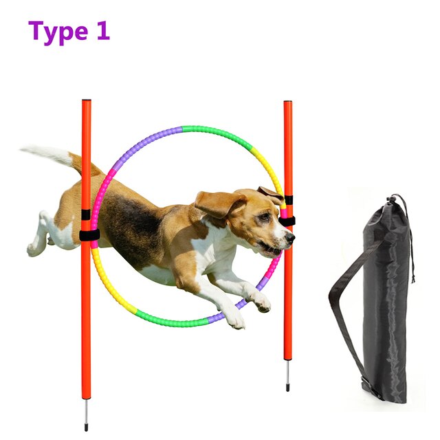 https://minipigtraining.com/wp-content/uploads/2023/02/Dog-Training-Equipment-Portable-Dogs-Jumping-Tool-Outdoor-Dogs-Running-Stake-Sports-Stakes-Pole-Pet-Agility.jpg_640x640.jpg