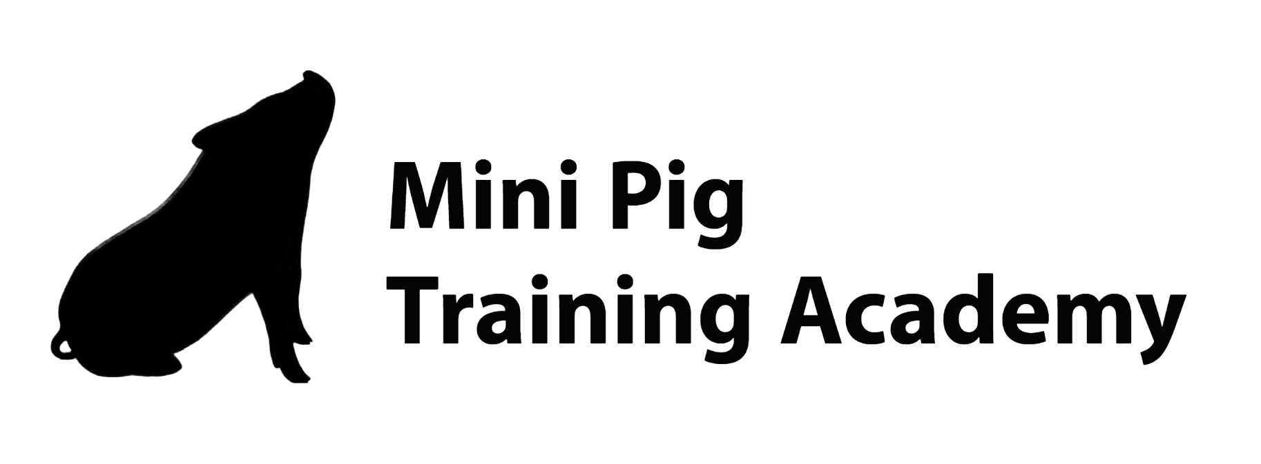 Mini Pig Training Academy