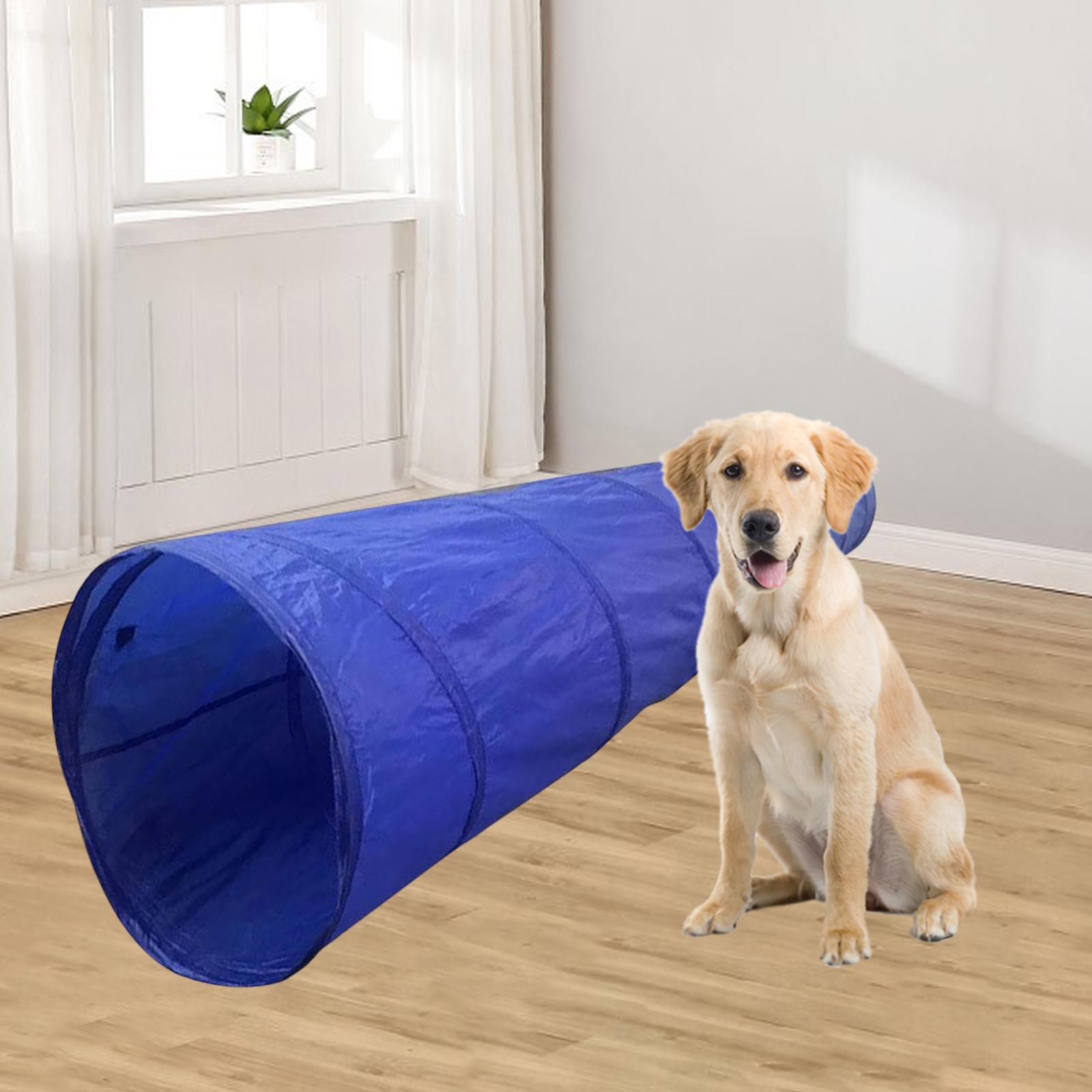 Dog Agility Training Tunnel Tube Interactive Toys Dogs Activities Kitty