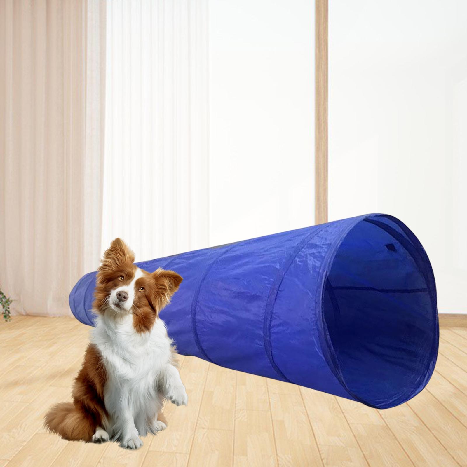 Dog Agility Training Tunnel Tube Interactive Toys Dogs Activities Kitty