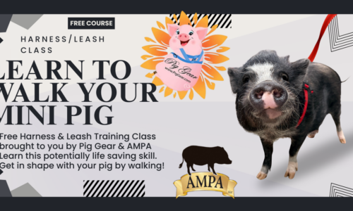 course thumbnail